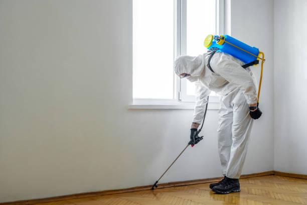 Best Local Pest Control Services  in Mountain Top, PA