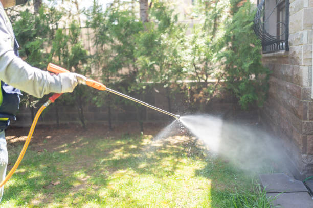 Best Pest Control Treatment  in Mountain Top, PA