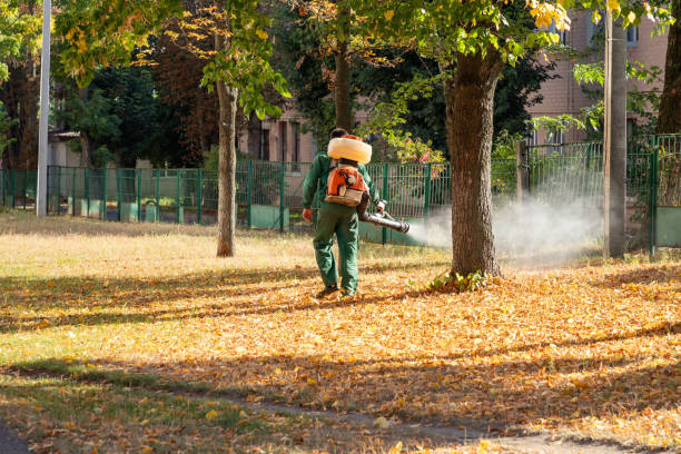 Best Local Pest Control Services  in Mountain Top, PA