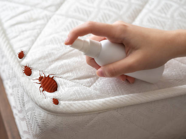 Best Pest Removal Services  in Mountain Top, PA